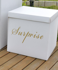 Κουτί Έκπληξης “Surprise”