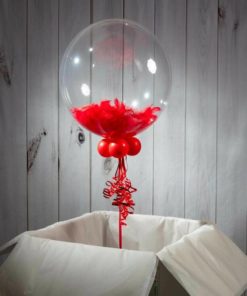 Μπαλόνι διάφανo με κόκκινα πούπουλα
