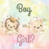 Σετ Μπαλόνια Boy or Girl (6 τεμ)