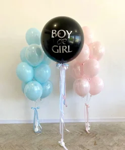 Gender Reveal Party Boy Or Girl?