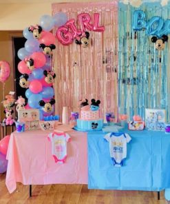 Mickey & Minnie Mouse Gender Reveal